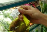 Rau Nhật “made in Việt Nam”?